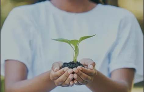 Carbon Footprint